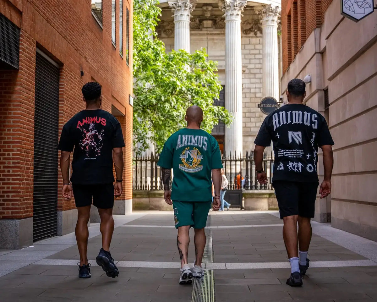 Shop Animus momentum